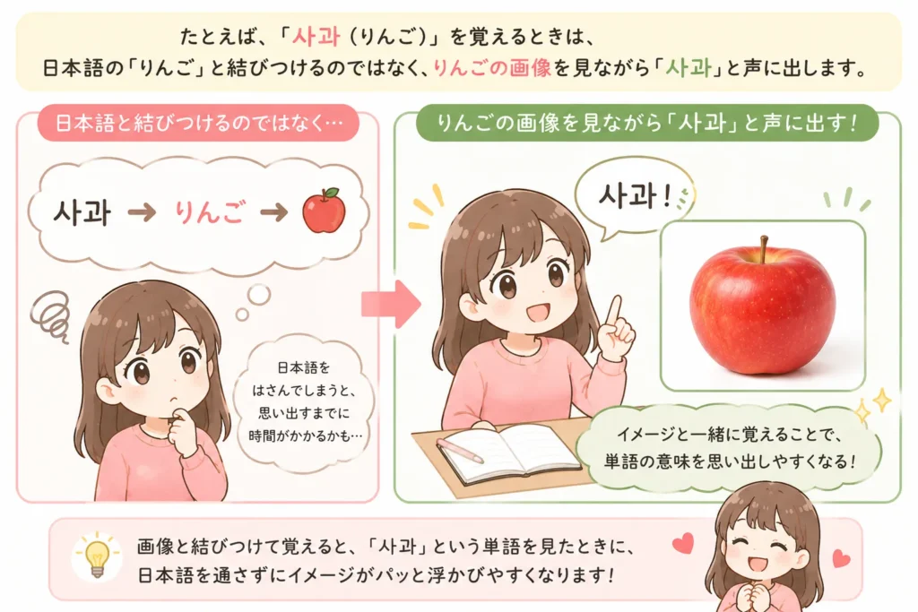 韓国語の単語の覚え方② 画像やイメージと結びつけて覚える