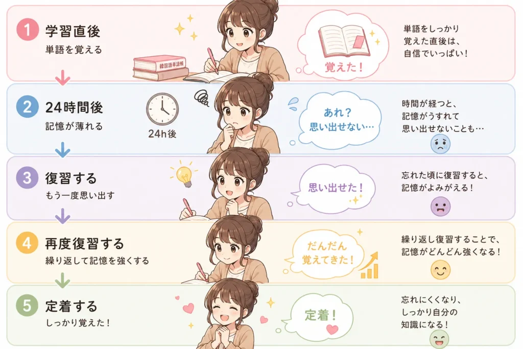 韓国語の単語は1回で覚えようとしない